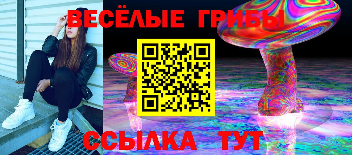 Псилоцибиновые грибы MAGIC MUSHROOMS Артём