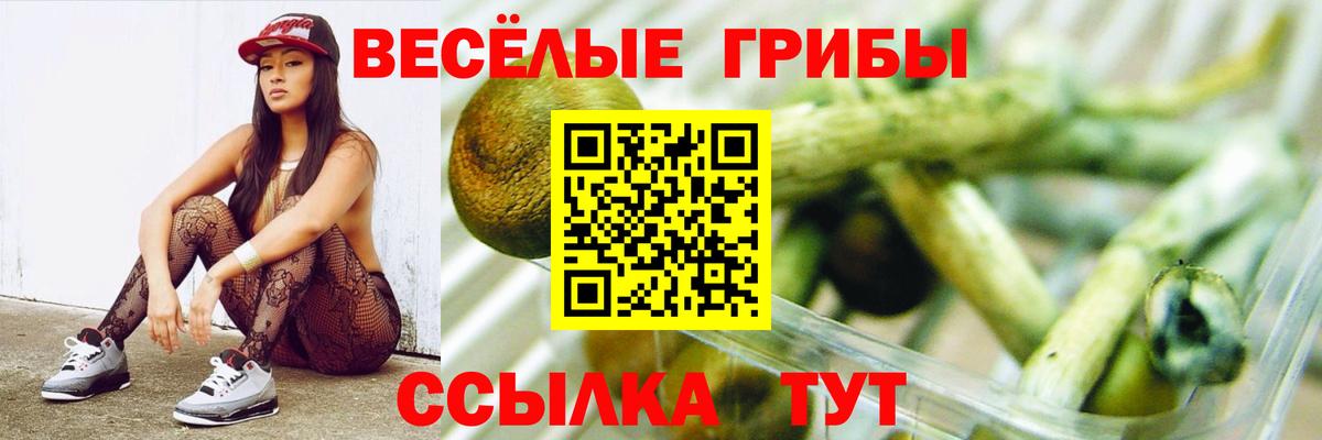 Артём  Галлюциногенные грибы прущие грибы  цена наркотик  Вход с VPN 